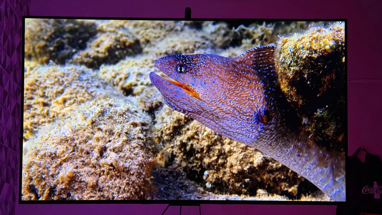 Smart Tv tcl c6k QD-MINILED - Foto 4