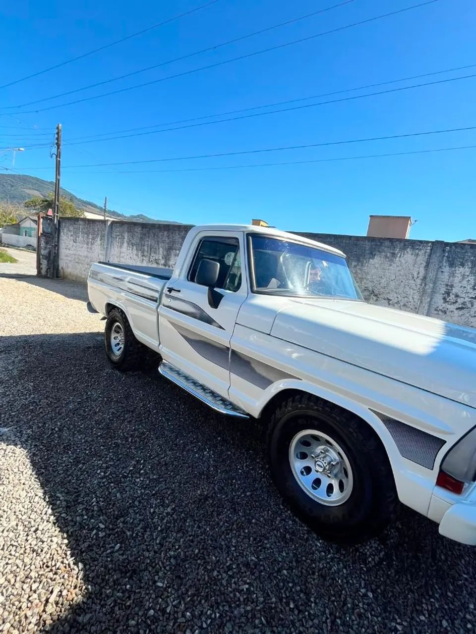 Ford F-1000 S. S. Diesel / S.s. Diesel Turbo 1989