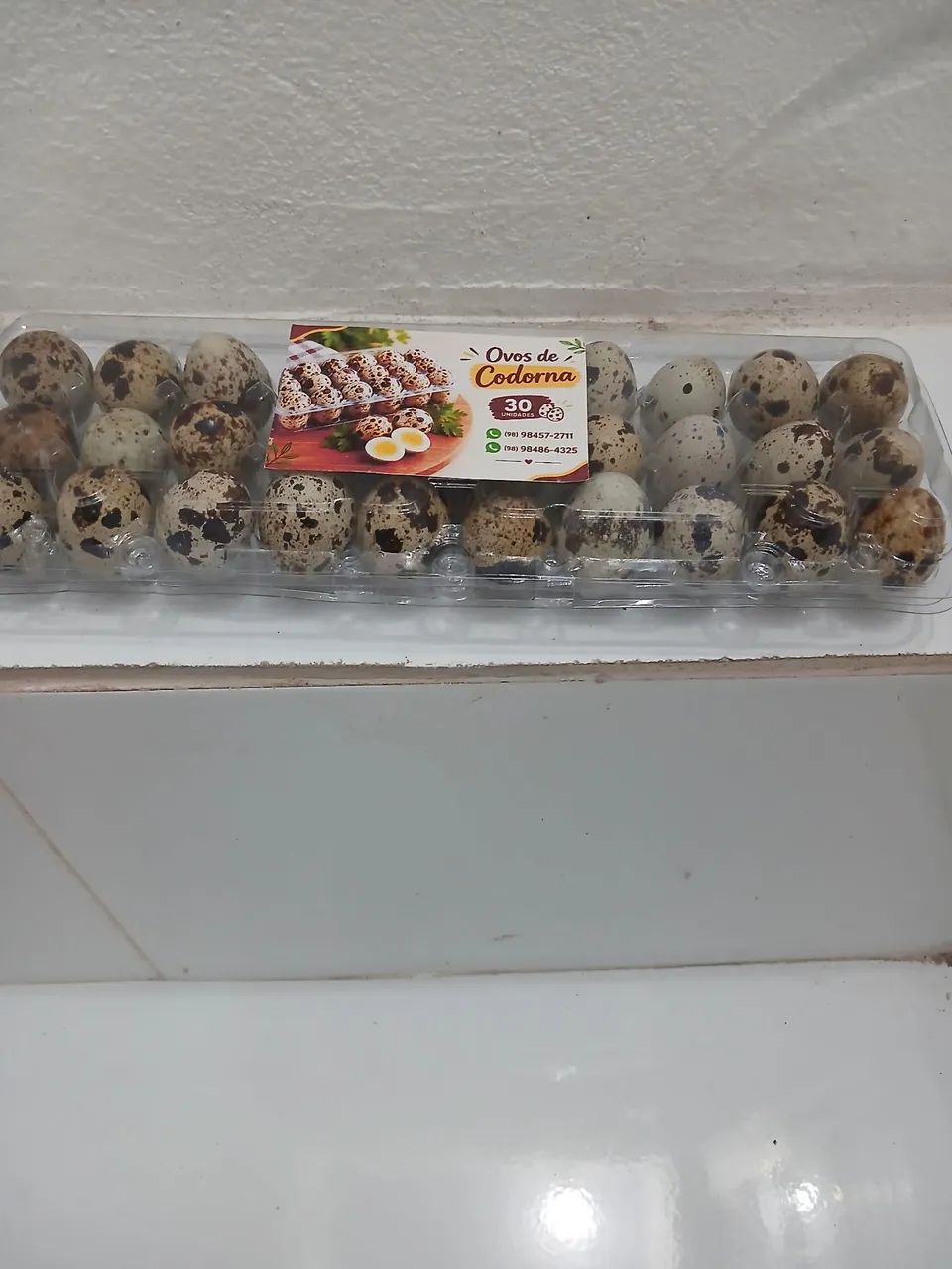 Ovos de codorna 