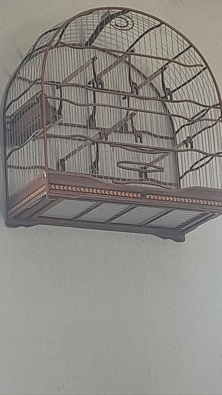 Gaiola de torneio - Foto 2