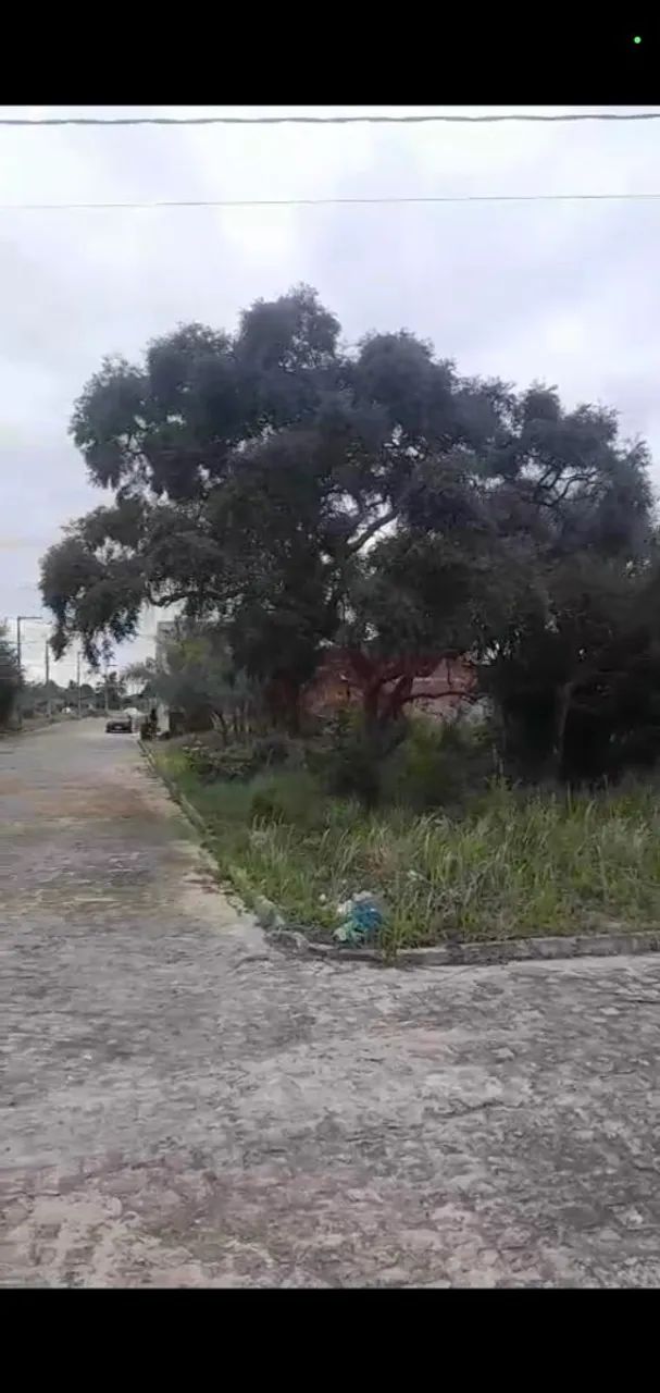 Repasso Terreno  - Foto 2
