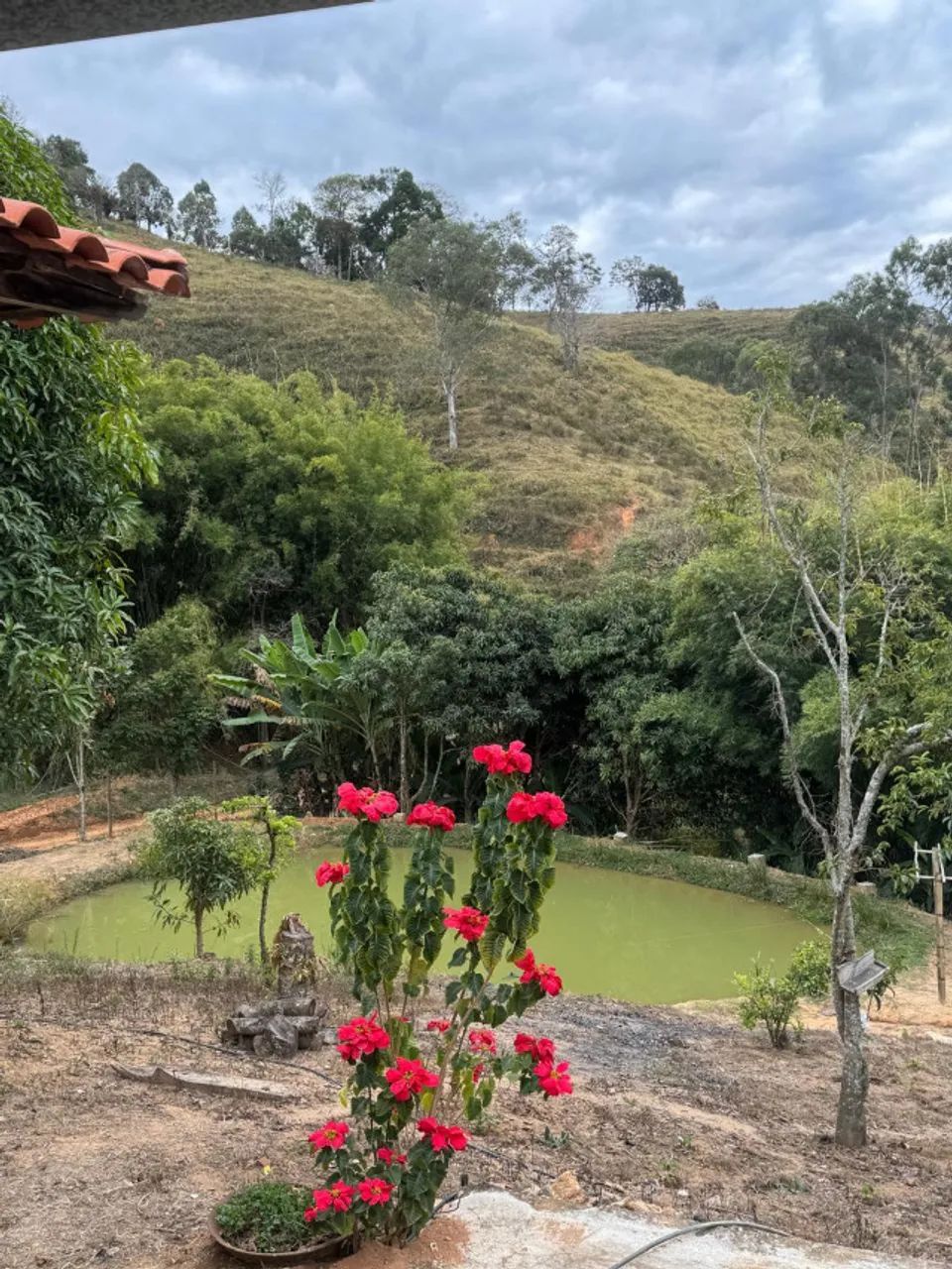 Vendo Lindo sítio/chácara na cidade de Carmópolis de Minas - Foto 2