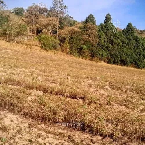 Seu Espaço no Campo Está Aqui. Venha Conhecer! - Foto 5