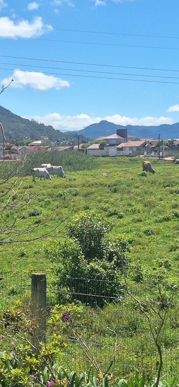 Terreno 360m2