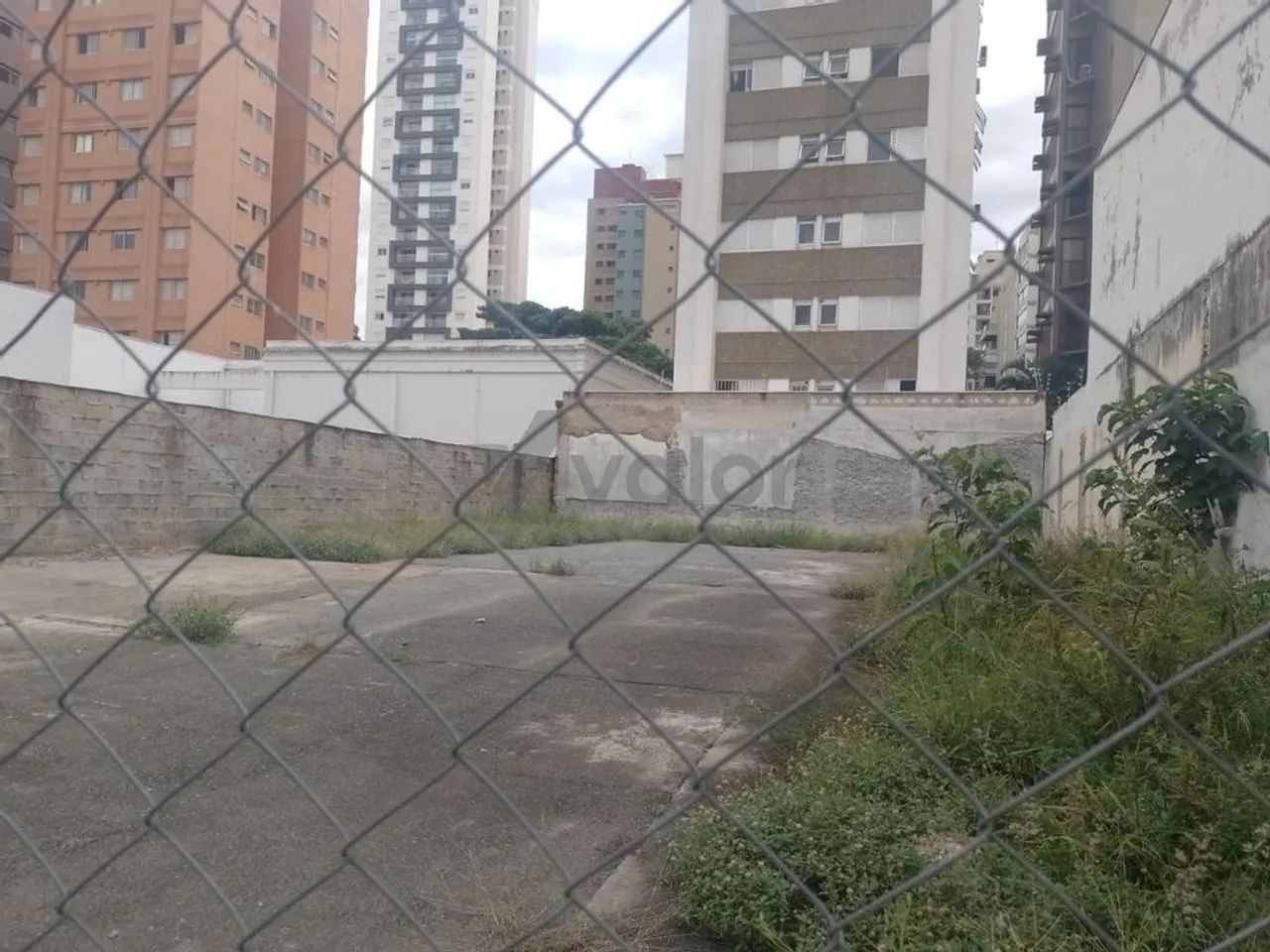 Terreno para alugar em Campinas, Centro, com 429 m² - Foto 5