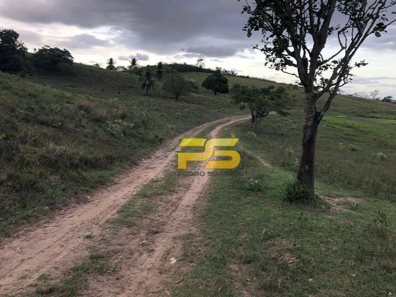 FAZENDA À VENDA  GUARABIRA / CUITEGI  PB