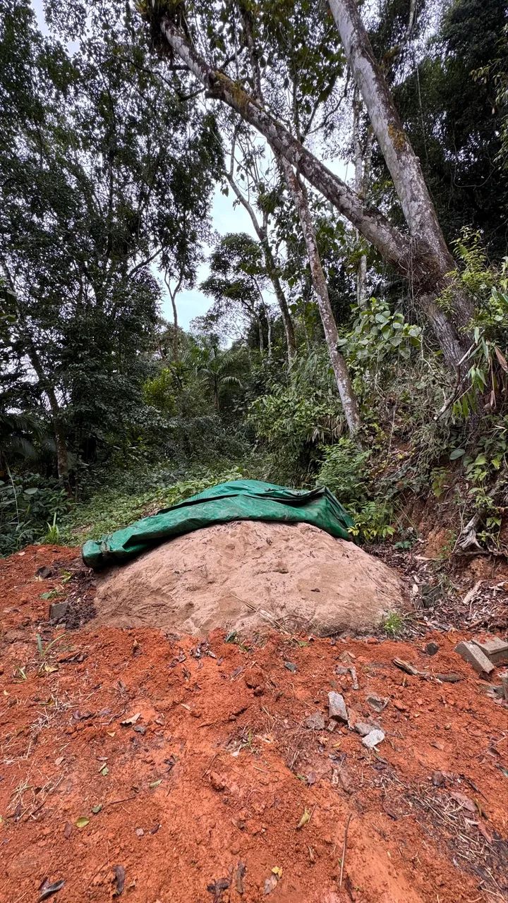 Sítio de 2 alqueires a venda - Foto 5