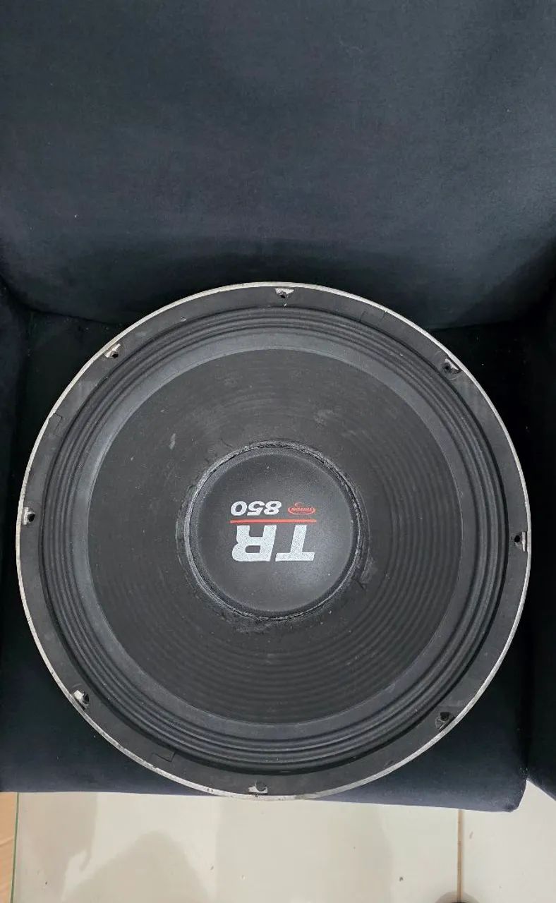 Alto falante 15 polegadas snake gtk 1500
