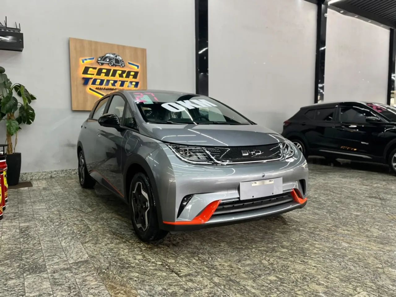 BYD Dolphin GS (Elétrico) 2027 - Foto 3