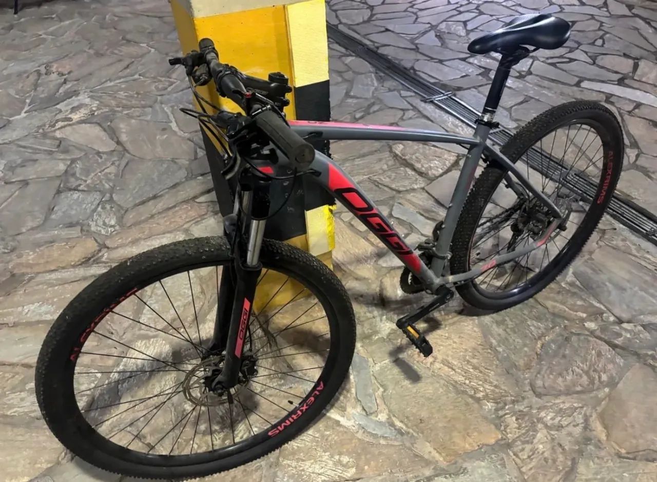Vendo bike Oggi aro 29