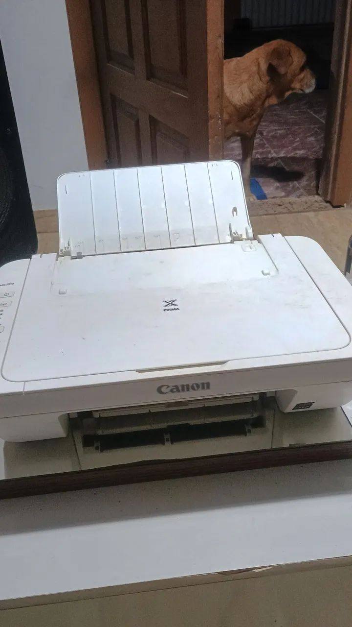 Vendo ou troco 100 pra ir embora . - Foto 2