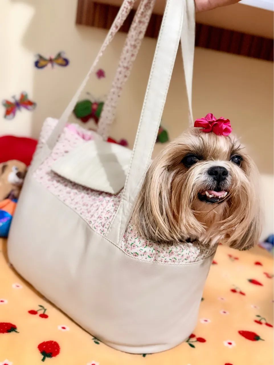 Bolsa pet para passeio  - Foto 5