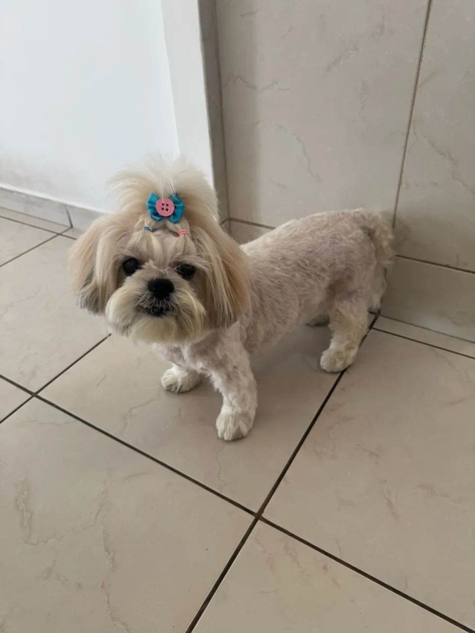 DOAÇÃO RESPONSÁVEL  - Foto 2