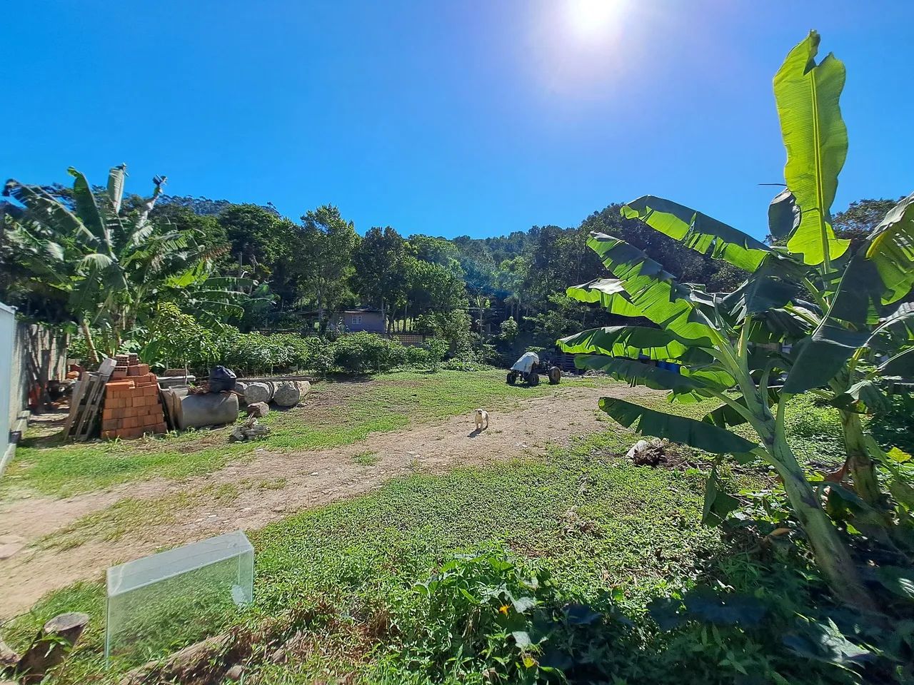 Terreno de esquina  - Foto 4