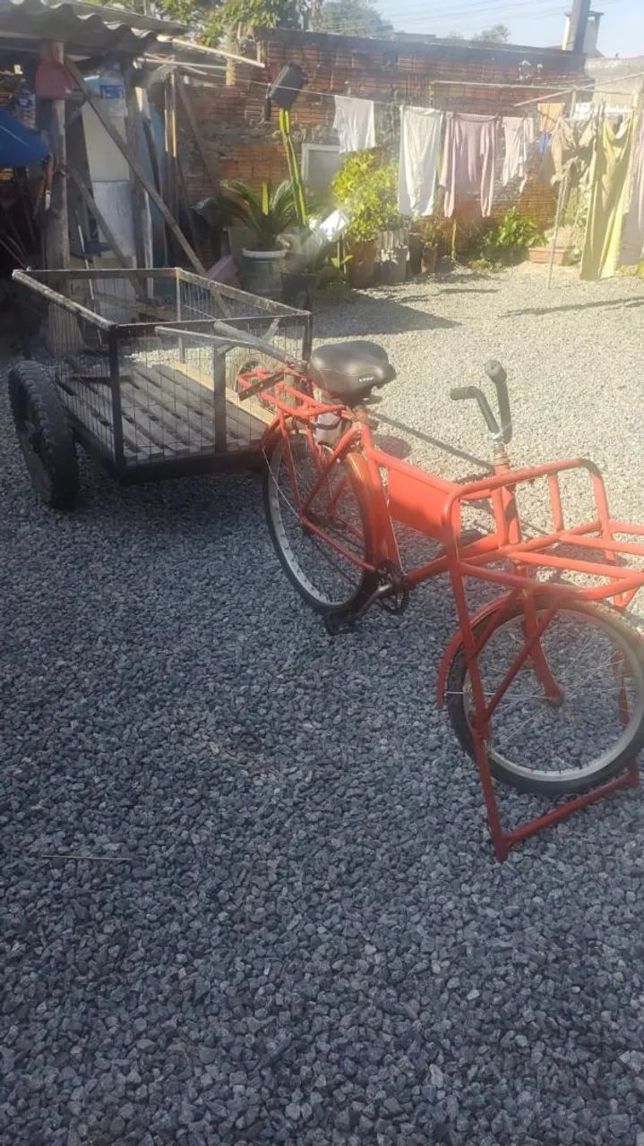  Bicicleta cargo e carrinho  