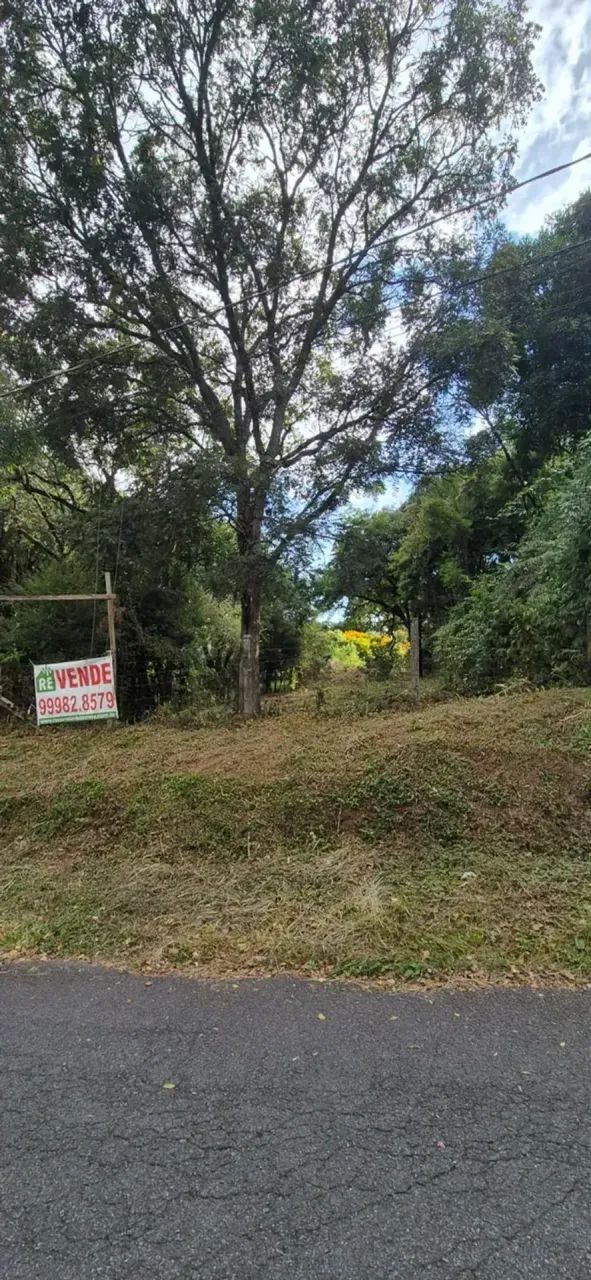 Excelente terreno no Abranches - Foto 2