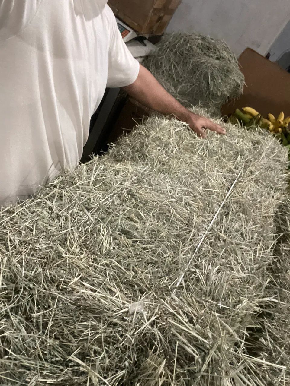 Fardão de feno tifton tipo A 29kg