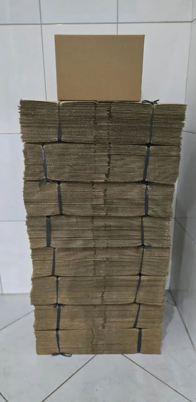 Fardo com 25 caixas de papelão (20cmx25cmx30cm)
