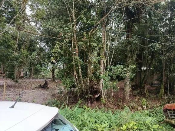 Lote/Terreno à Venda, Coronel - Itanhaém