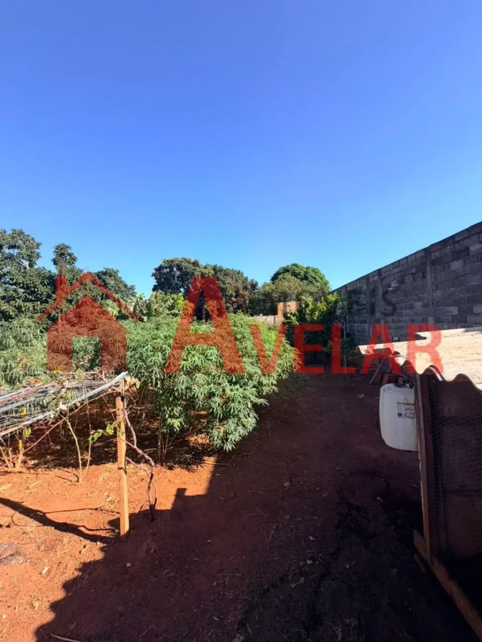Casa para venda, Morada Nova, Uberlândia - CA1372 - Foto 5