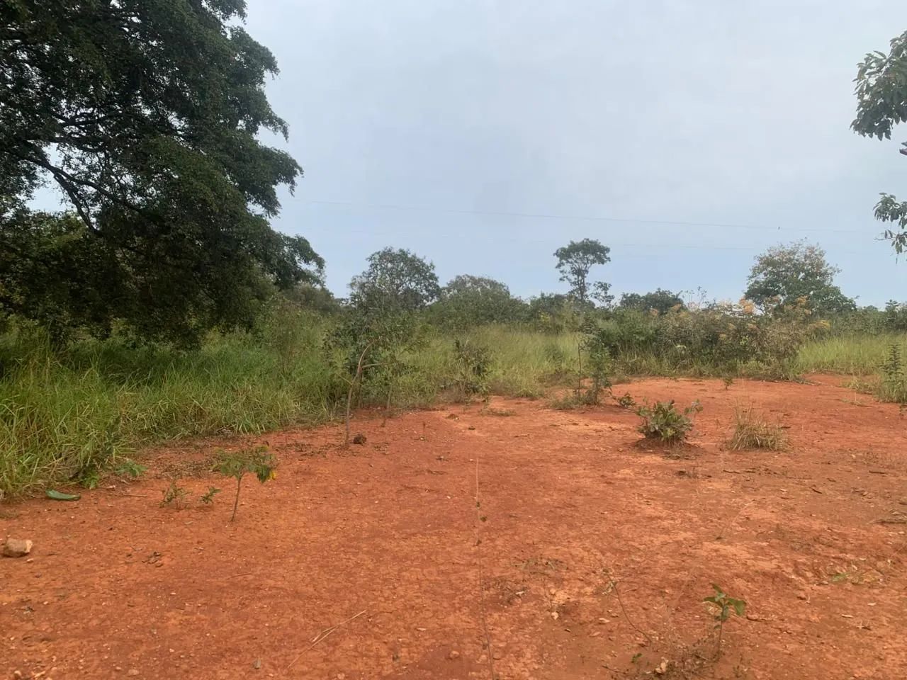 Lotes de 1000m² são Vicente baldin - Foto 4