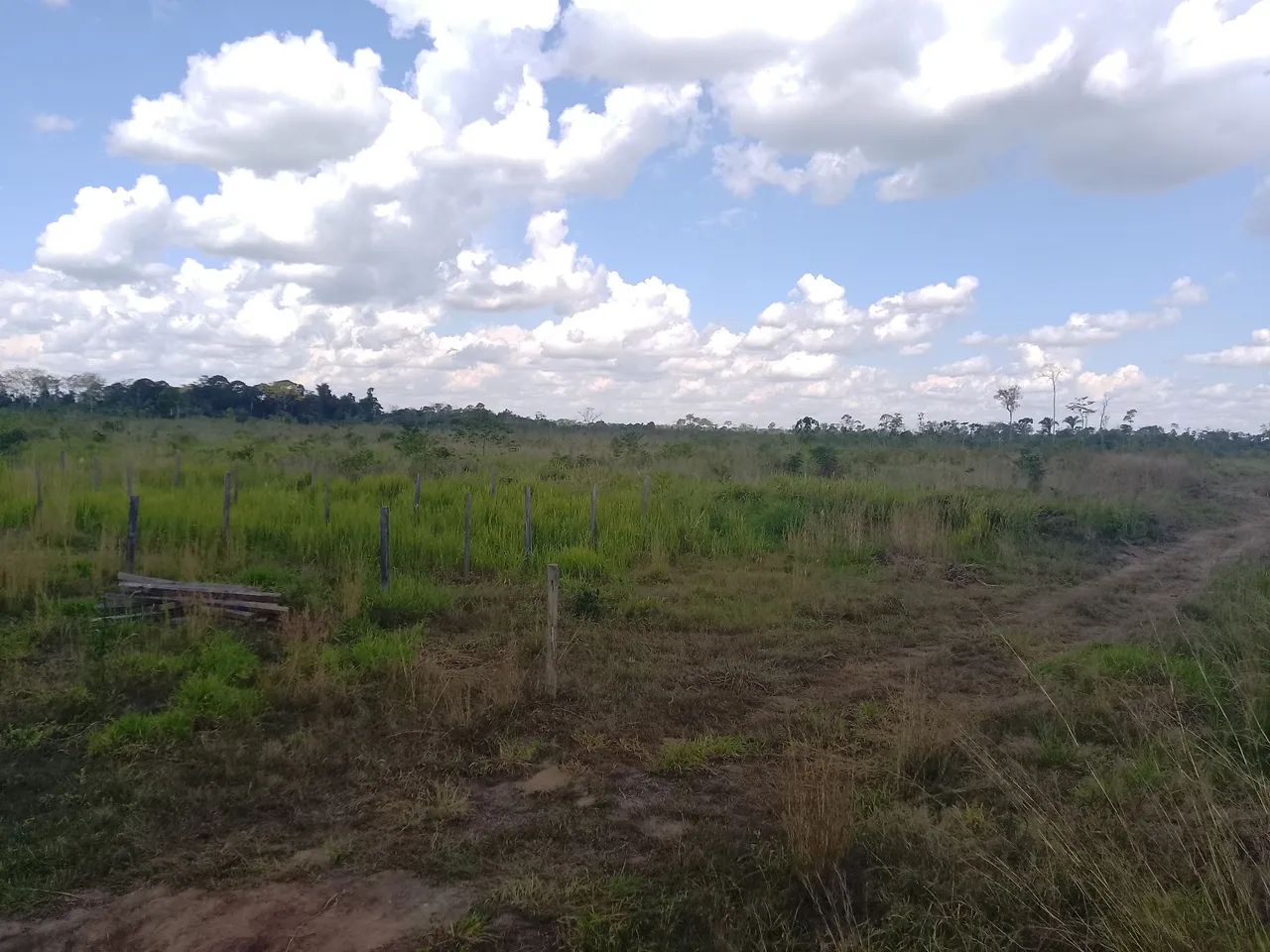 Terra com boa localização  - Foto 3