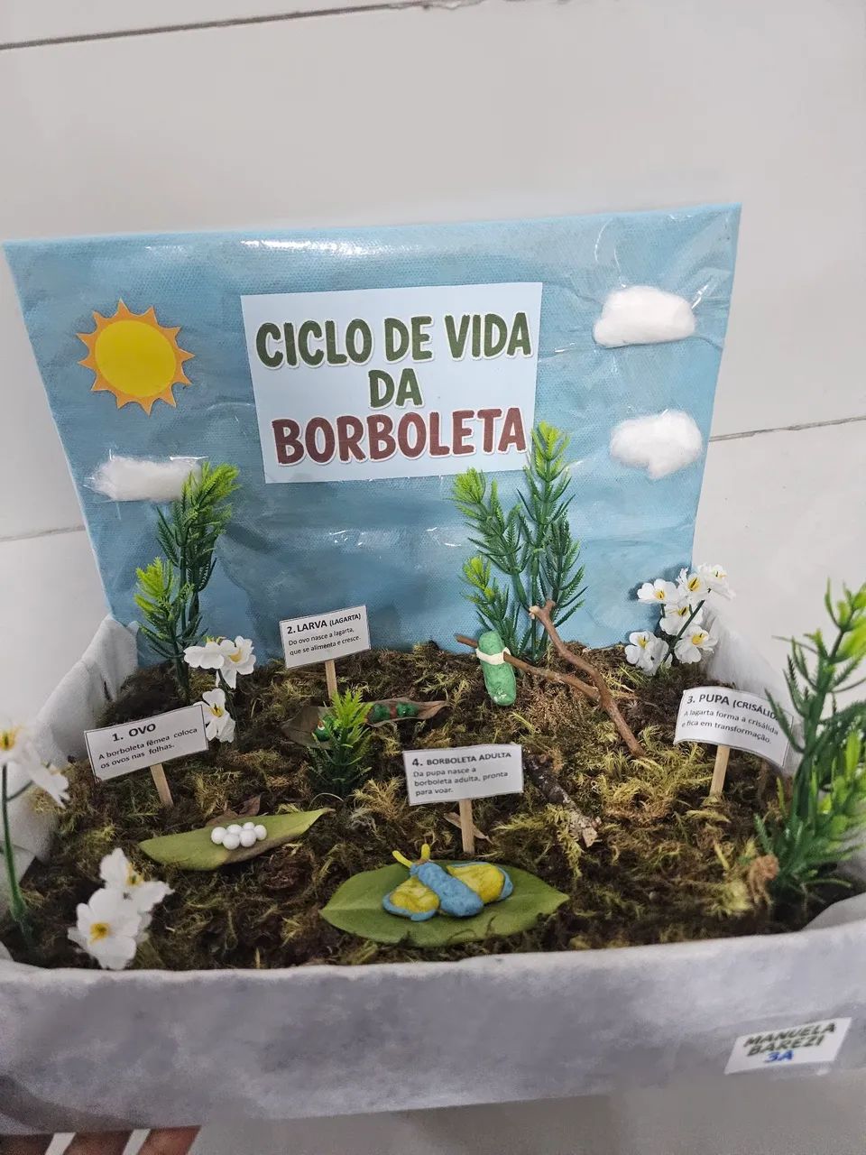 Maquete borboleta - Foto 4