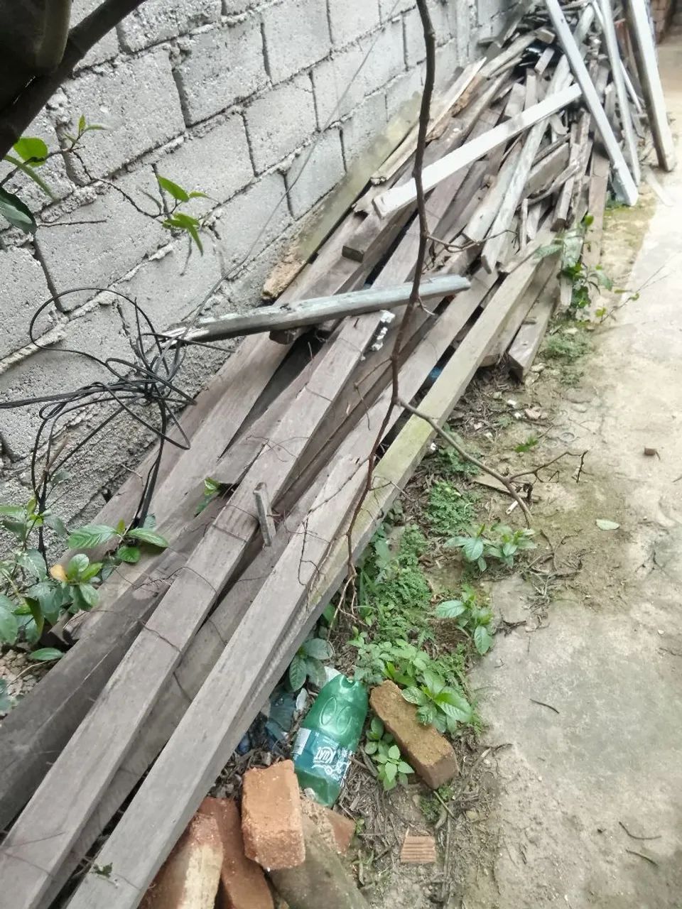 Madeiras para contrução 