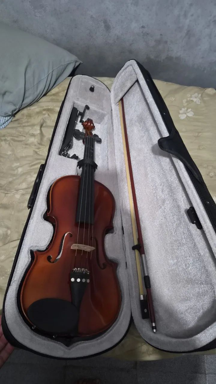 Violino Pearl River 4/4