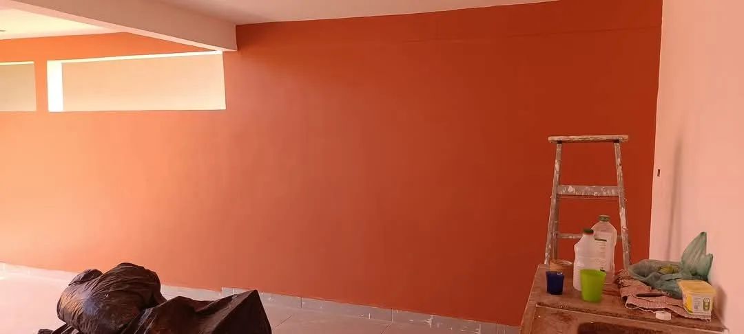 pintor proficional  - Foto 3