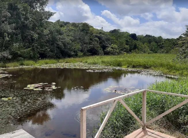 Maanaim Country Residence com 480m² posição nascente - Foto 3