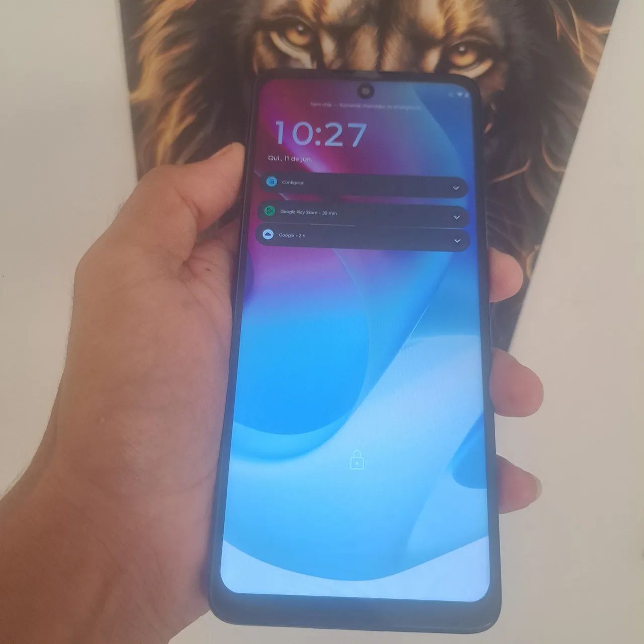 Moto g60s