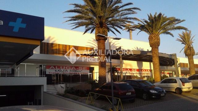 Loja comercial para alugar em Vila ipiranga, Porto alegre cod:242186 - Foto 3