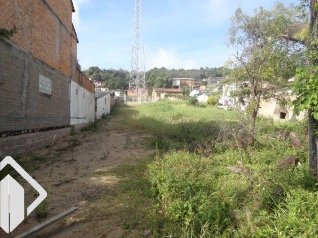 Terreno para alugar em Tristeza, Porto alegre cod:228903 - Foto 3