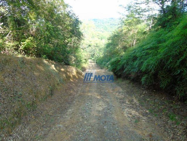 Fazenda antonina - Foto 12