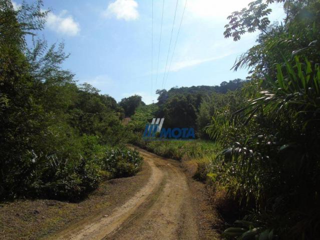 Fazenda antonina - Foto 20