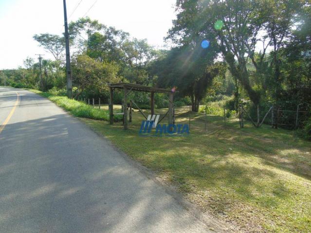Fazenda antonina - Foto 6