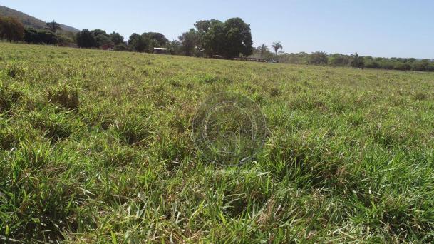 Fazenda para pecuária 185 ha santo antonio leverger - Foto 10
