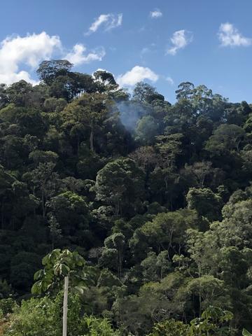 Grande oportunidade em Santa Teresa a 1,5km do asfalto - Foto 9