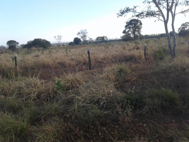 Fazenda 160 alqueires ( 774,4 hectares ) Pontal do Araguaia-MT \ Barra do Garça - Foto 13