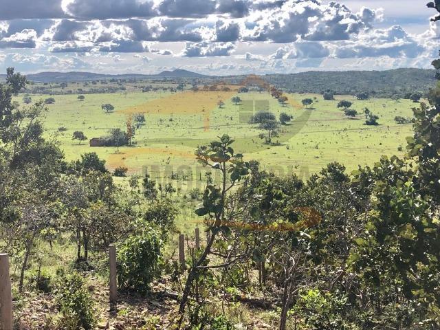 9Fazenda de 2.560 hectares para Venda, em Paranatinga / MT - Foto 7