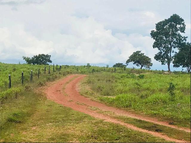 Fazenda 354,hectares - Foto 12