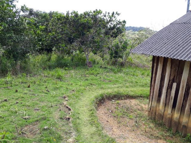 Sítio em Itacaré - Bahia - Foto 7