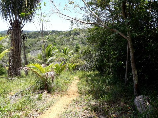 Sítio em Itacaré - Bahia - Foto 9