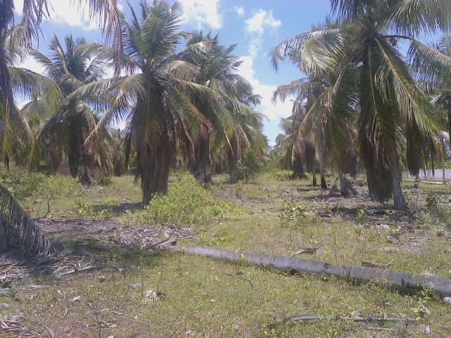 Vendo terreno (1000m²) no Parque Santa Ismênia - Macaíba. - Foto 3