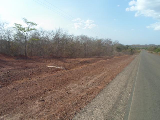 Terreno na BR-PI 214 Luzilândia/Esperantina - Foto 5
