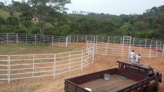 Pista de Ranch Sorting - Foto 6