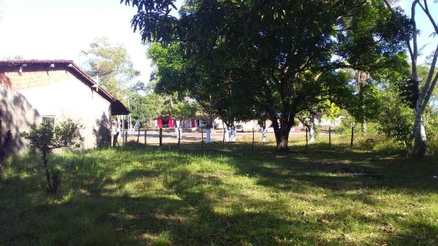 Vende-se Sítio em Santa Rita - Foto 2