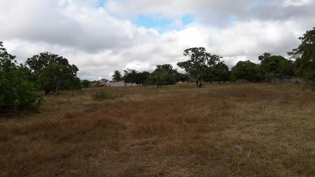 Meia tarefa de terra na asa branca ! - Foto 6