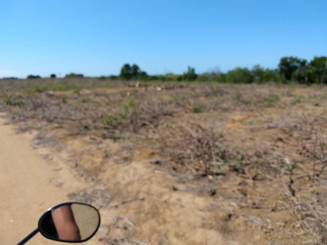 Venda de 3 alqueires de terra - Foto 5